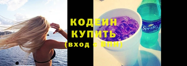 гидра Карпинск