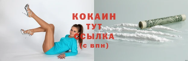 гидра Карпинск