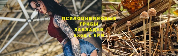 гидра Карпинск