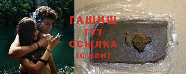 гидра Карпинск