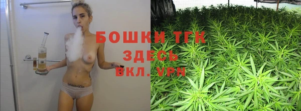 гидра Карпинск